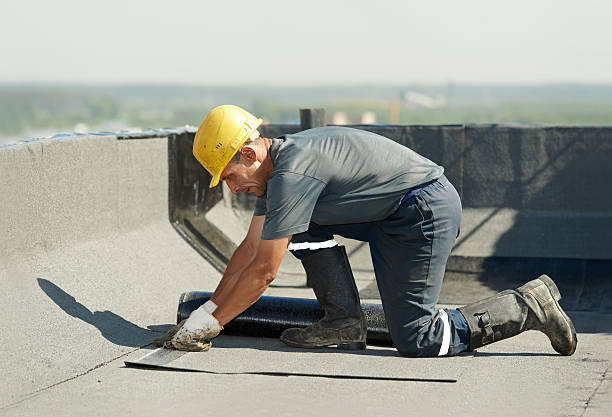 Types of Insulation We Offer in Champlin, MN