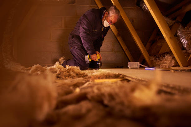 Best Specialized Insulation Services in Champlin, MN